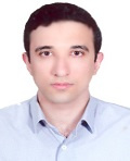 dr-mohammad javad